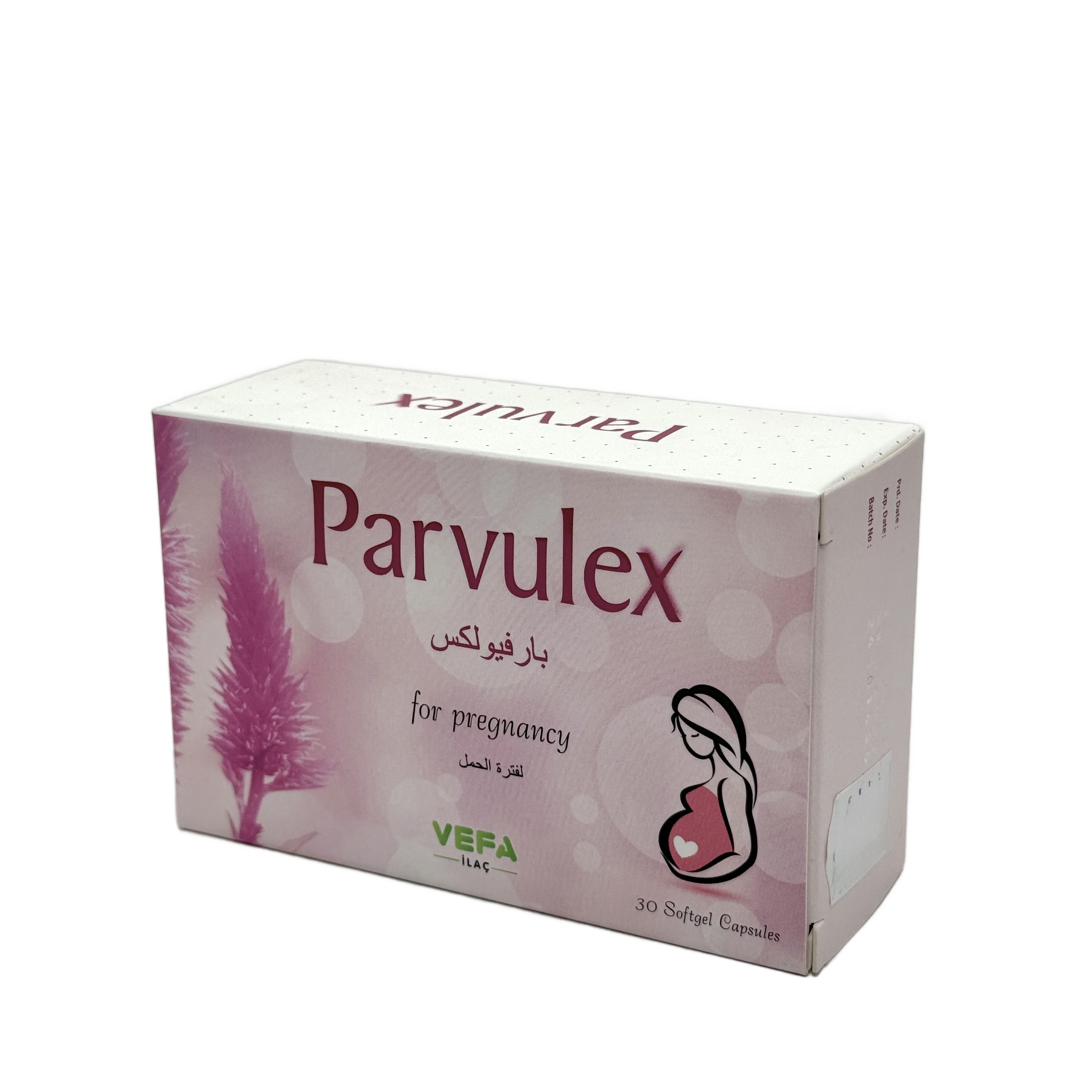 6697 parvulex