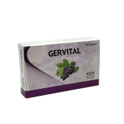 Gervital 150mg 20 Capsules - جيرفيتال 150 ملغم 20 كبسولة