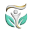 Tibtoom logo